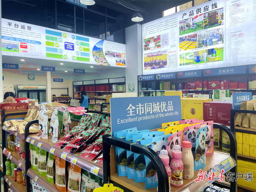 隴南市武都區(qū) 油橄欖產(chǎn)業(yè)蓬勃 奏響春節(jié)序曲