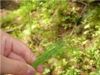 中國農(nóng)業(yè)黃頁 名錄 中國農(nóng)業(yè)公司 廠家 八方資源網(wǎng)農(nóng)業(yè)黃頁