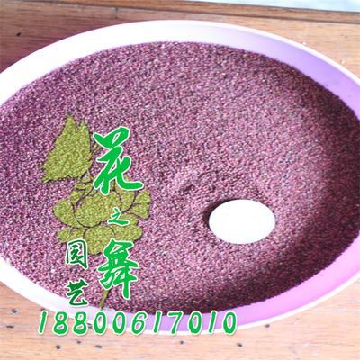 種子系列 廠家直銷(xiāo) 批發(fā)蛇莓種子 當(dāng)年采 量大優(yōu)惠 發(fā)芽率高 蛇莓種子價(jià)格圖片|種子系列 廠家直銷(xiāo) 批發(fā)蛇莓種子 當(dāng)年采 量大優(yōu)惠 發(fā)芽率高 蛇莓種子價(jià)格產(chǎn)品圖片由沭陽(yáng)縣花之舞綠化苗木場(chǎng)公司生產(chǎn)提供-